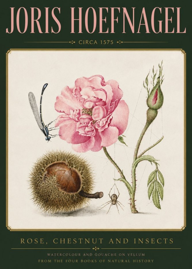Joris Hoefnagel Rose, Chestnut and Insects No3 - Juliste