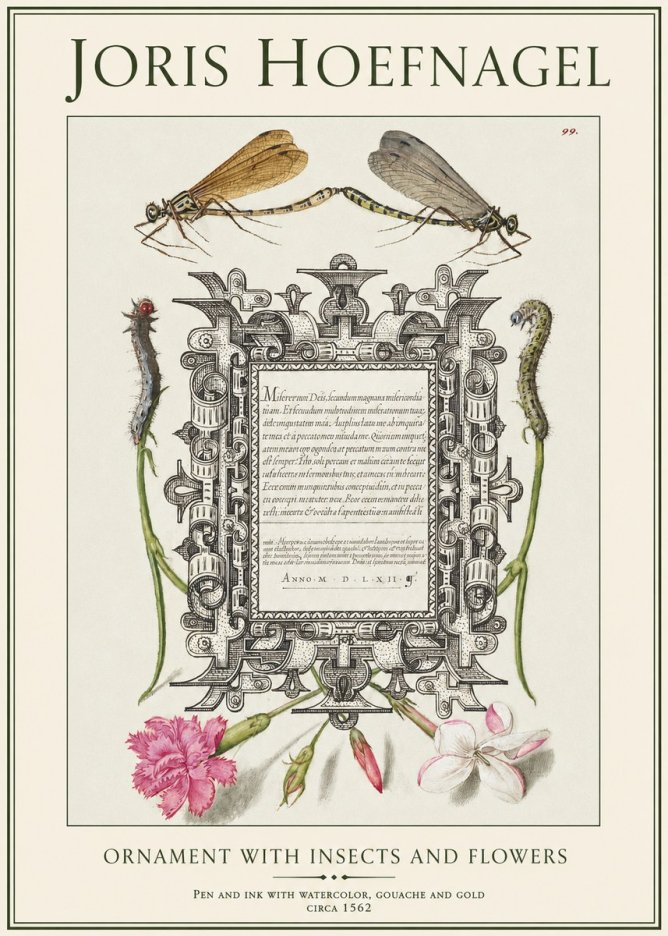 Joris Hoefnagel Ornamental Frame with Damselflies, Caterpillars and Flowers No2 - Juliste