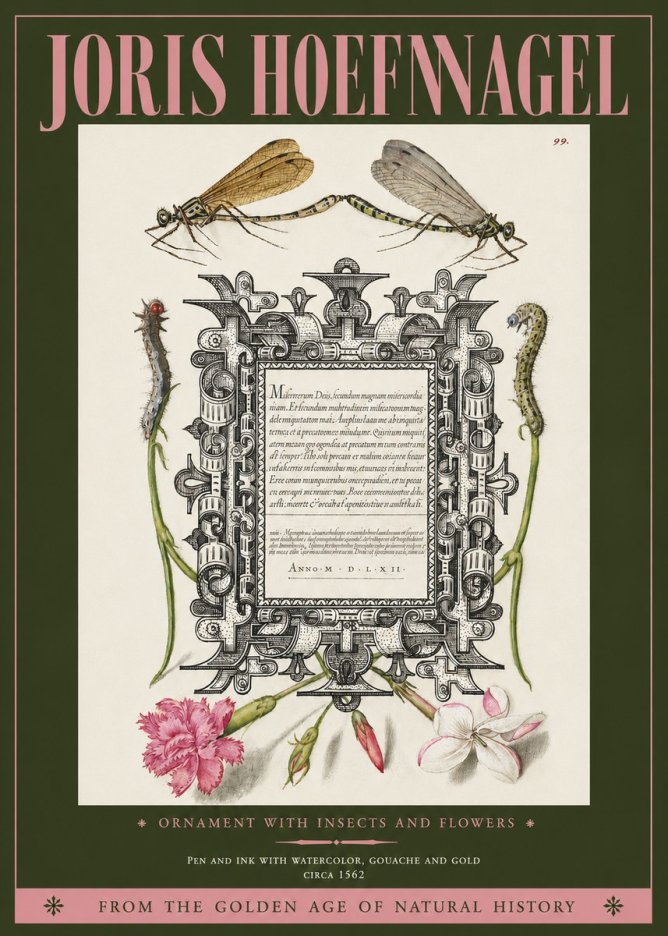 Joris Hoefnagel Ornamental Frame with Damselflies, Caterpillars and Flowers No4 - Juliste