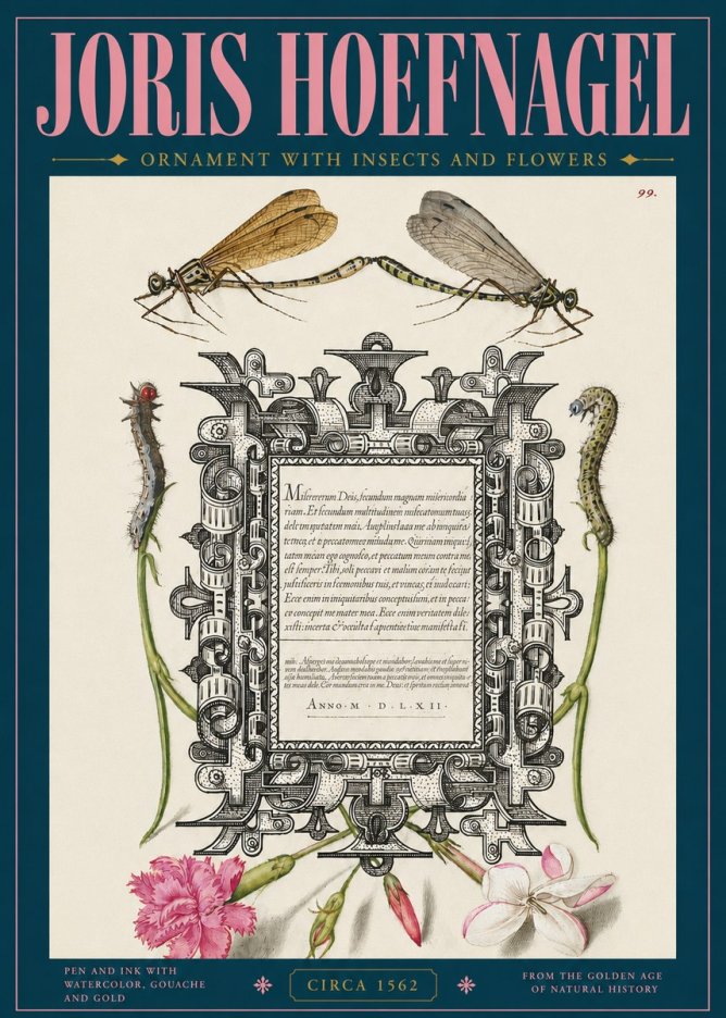 Joris Hoefnagel Ornamental Frame with Damselflies, Caterpillars and Flowers No5 - Juliste
