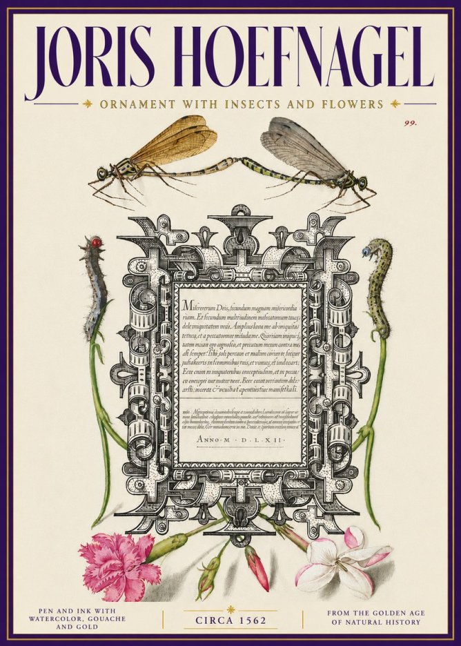Joris Hoefnagel Ornamental Frame with Damselflies, Caterpillars and Flowers No6 - Juliste
