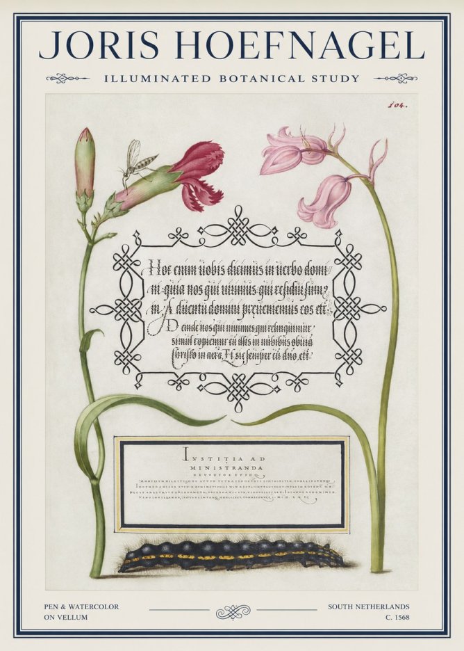 Joris Hoefnagel Floral Study with Insect and Caterpillar No5 - Juliste
