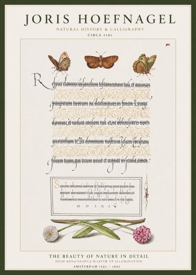 Joris Hoefnagel Butterflies, Flowers and Calligraphy Page No1 - Juliste