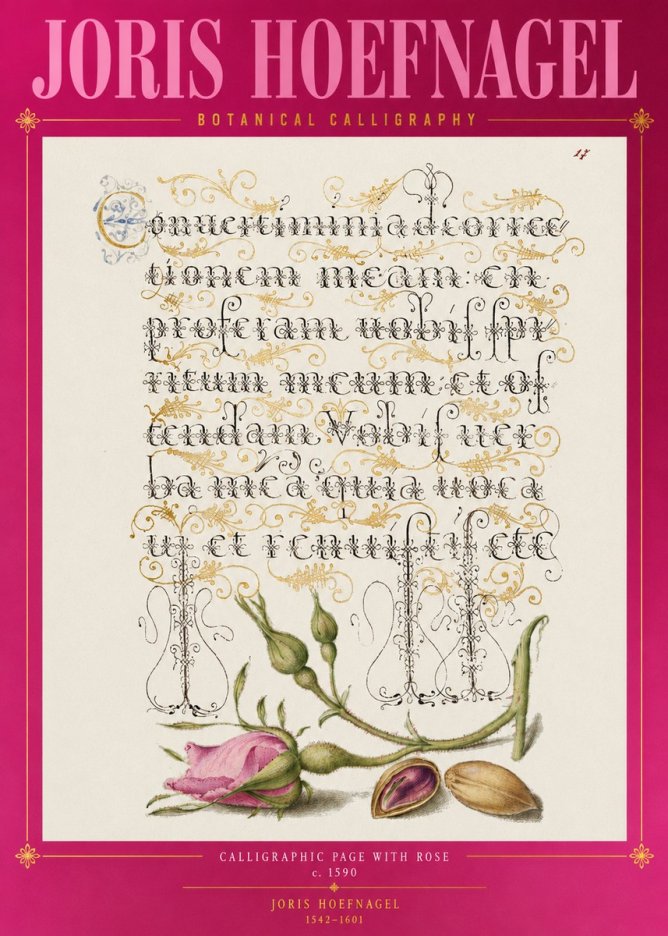 Joris Hoefnagel Calligraphic Page with Rose No2 - Juliste