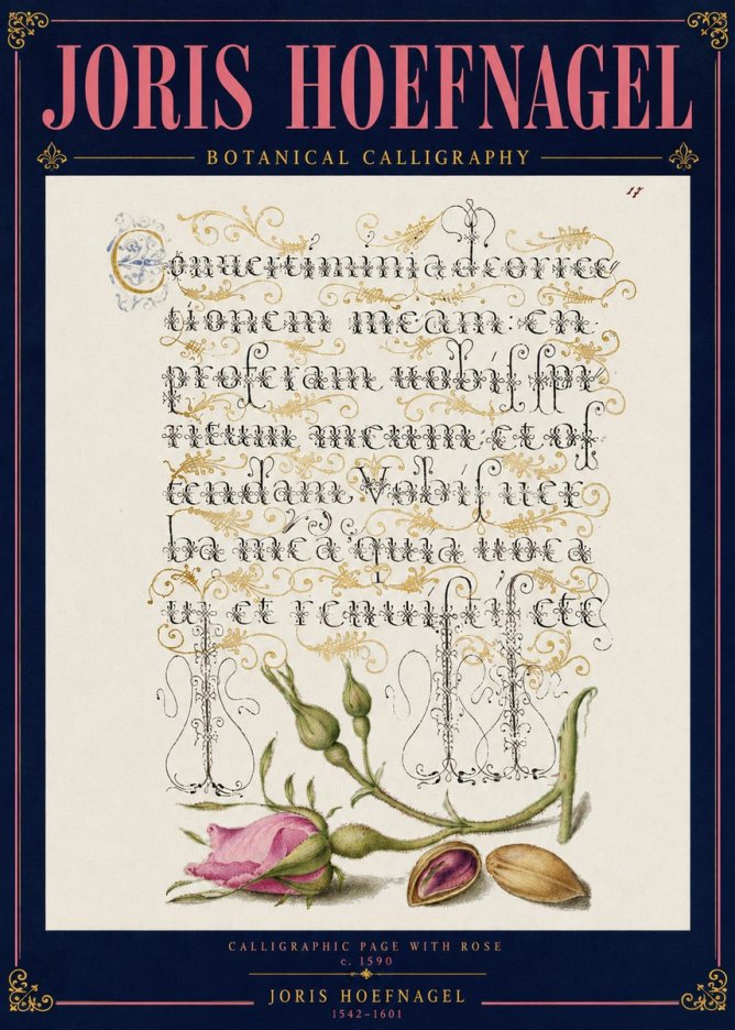 Joris Hoefnagel Calligraphic Page with Rose No4 - Juliste
