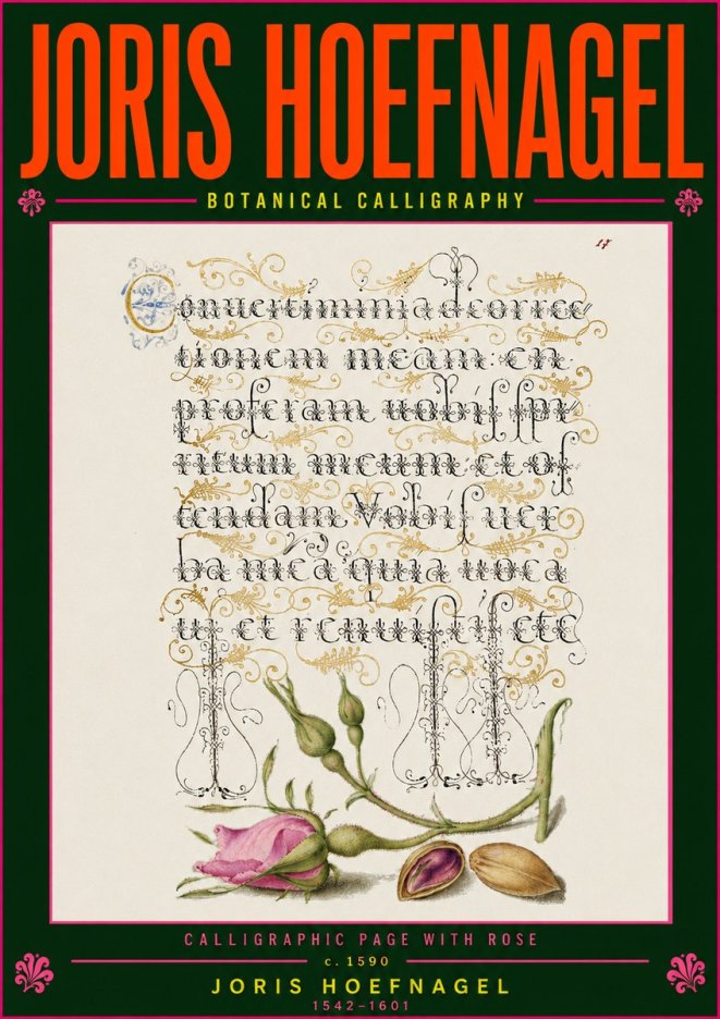 Joris Hoefnagel Calligraphic Page with Rose No5 - Juliste