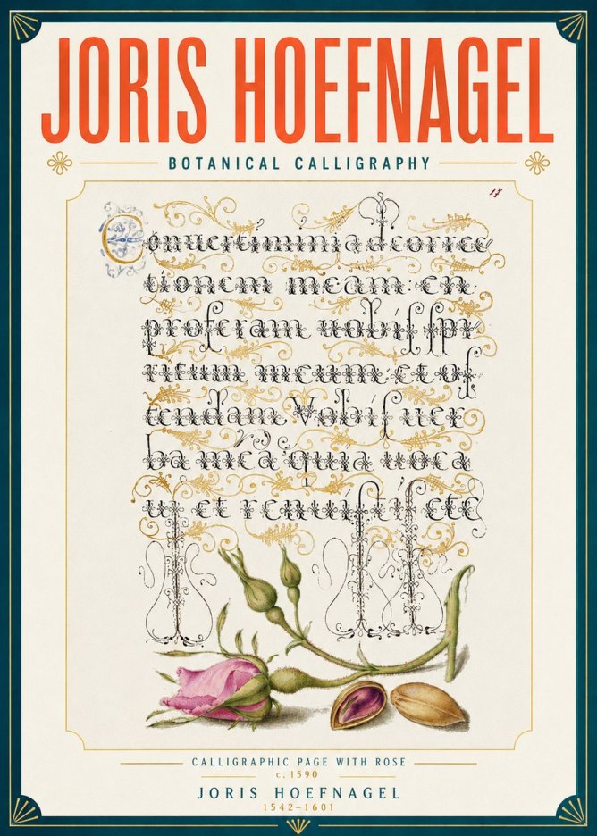 Joris Hoefnagel Calligraphic Page with Rose No6 - Juliste