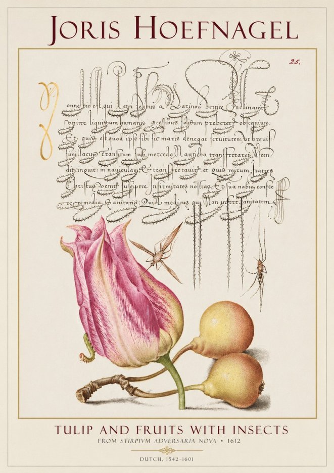 Joris Hoefnagel Tulip and Fruits with Insects No1 - Juliste