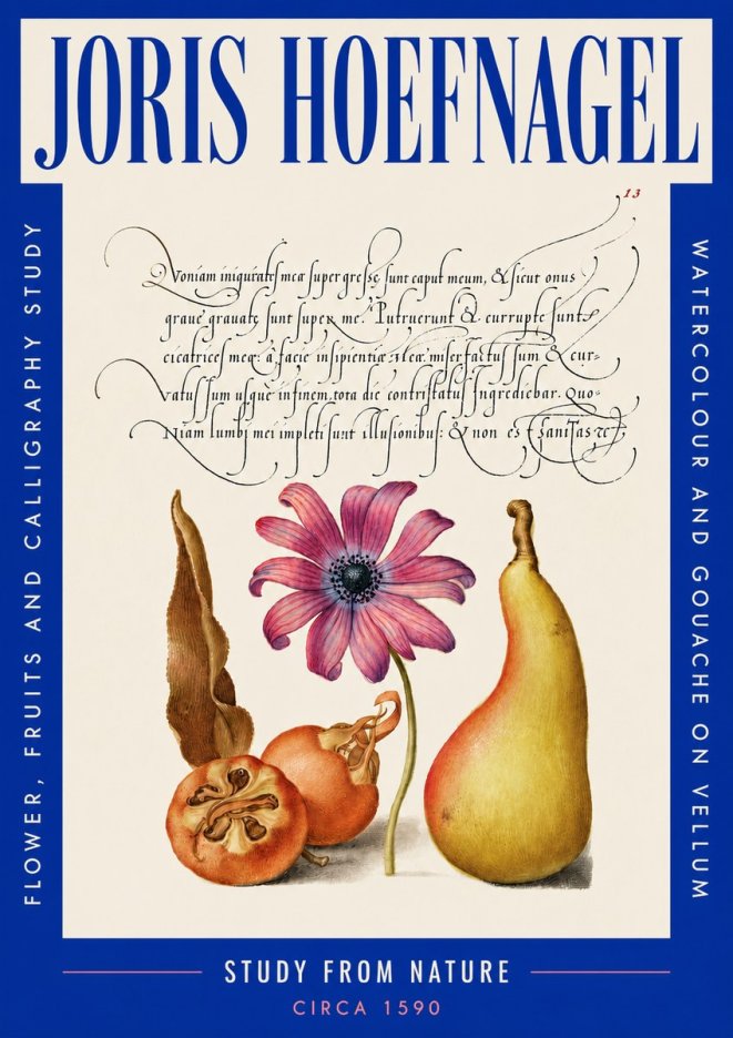 Joris Hoefnagel Study of Flower and Fruits No5 - Juliste