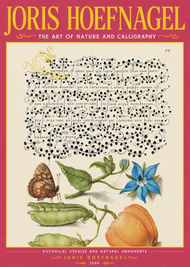 Joris Hoefnagel Study of Plants and Butterfly No4 - Juliste
