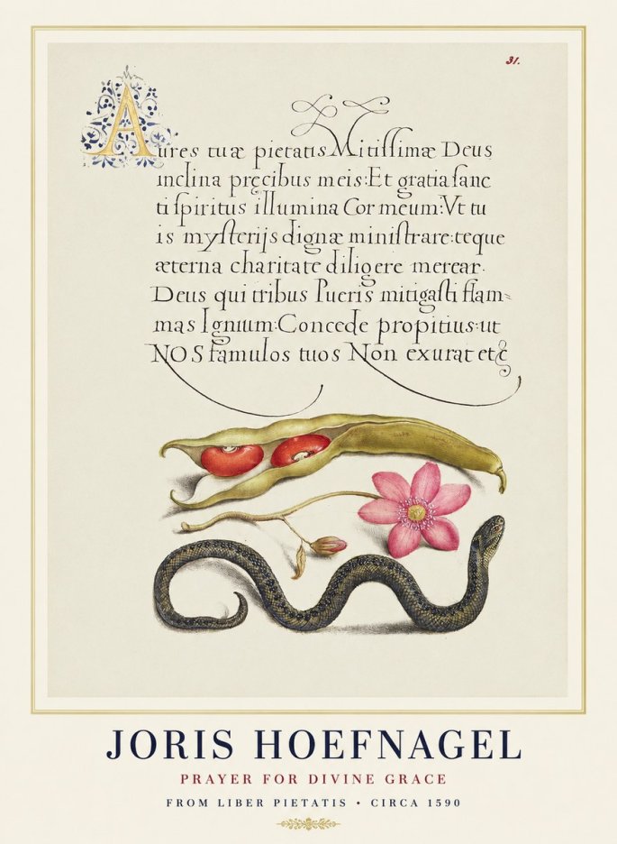 Joris Hoefnagel Prayer for Divine Grace No1 - Juliste
