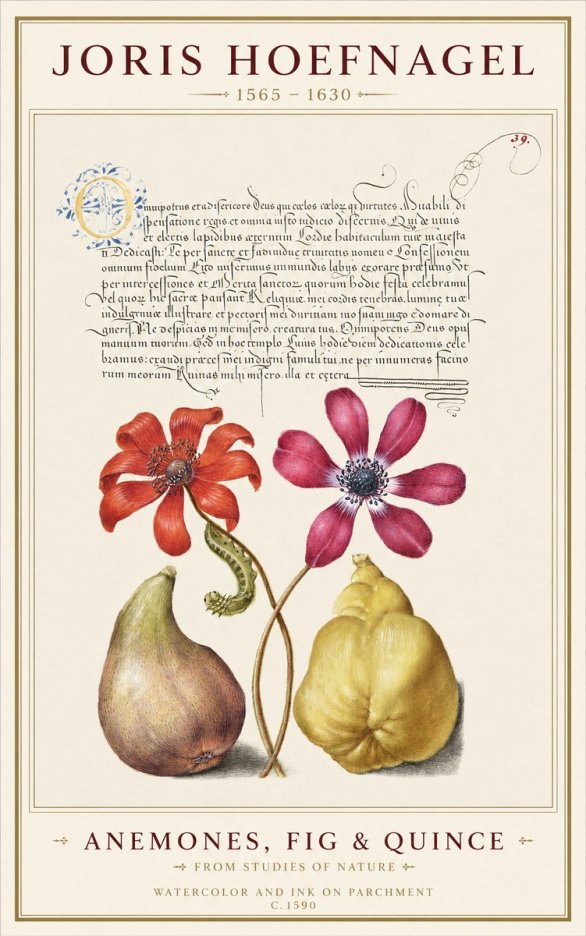 Joris Hoefnagel Flowers and Fruits No2 - Juliste