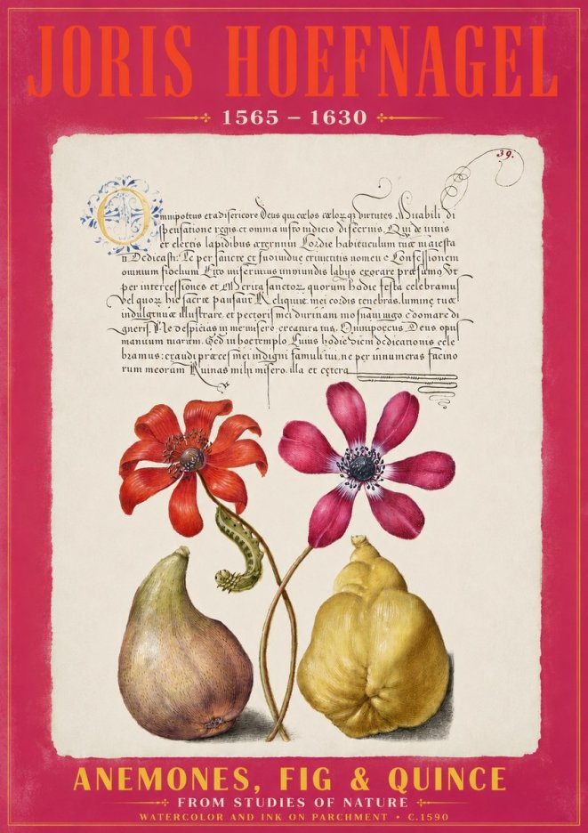 Joris Hoefnagel Flowers and Fruits No3 - Juliste