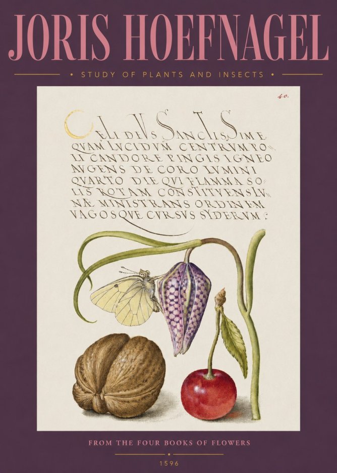 Joris Hoefnagel Study of Plants and Insects No2 - Juliste