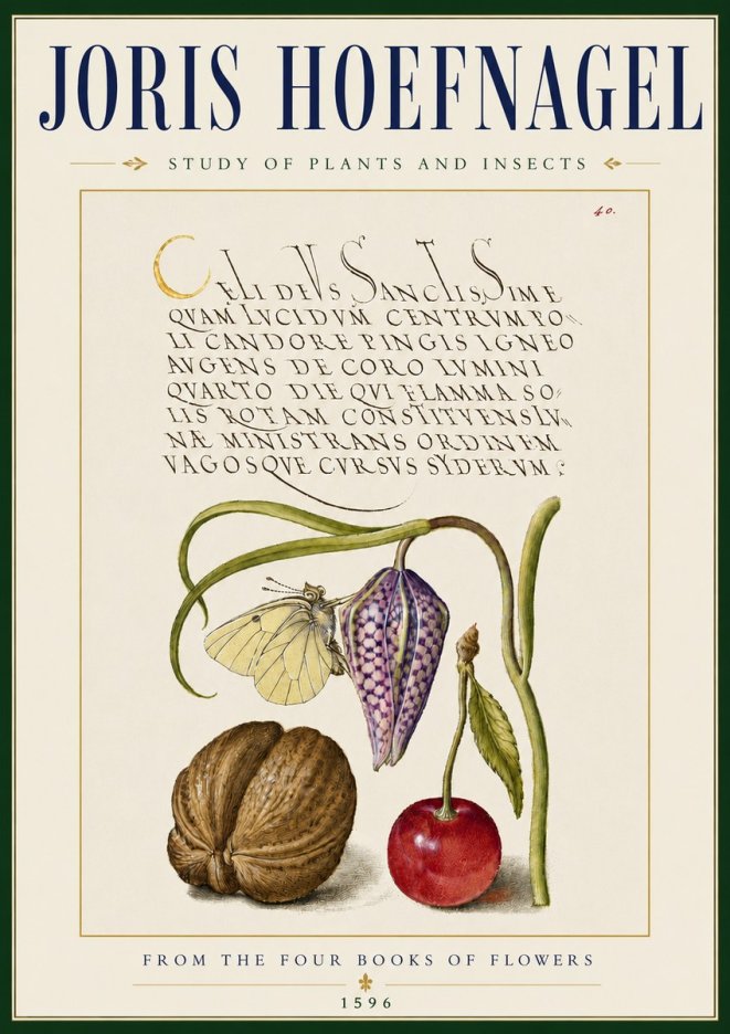 Joris Hoefnagel Study of Plants and Insects No5 - Juliste