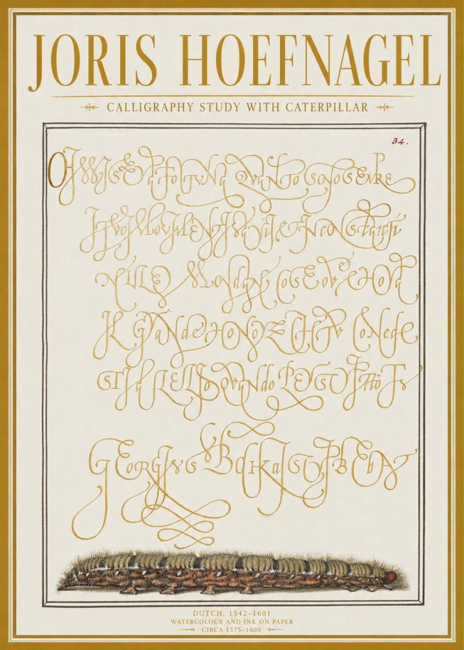 Joris Hoefnagel Calligraphy Study with Caterpillar No1 - Juliste