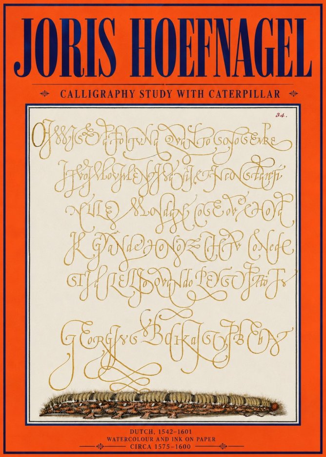 Joris Hoefnagel Calligraphy Study with Caterpillar No4 - Juliste