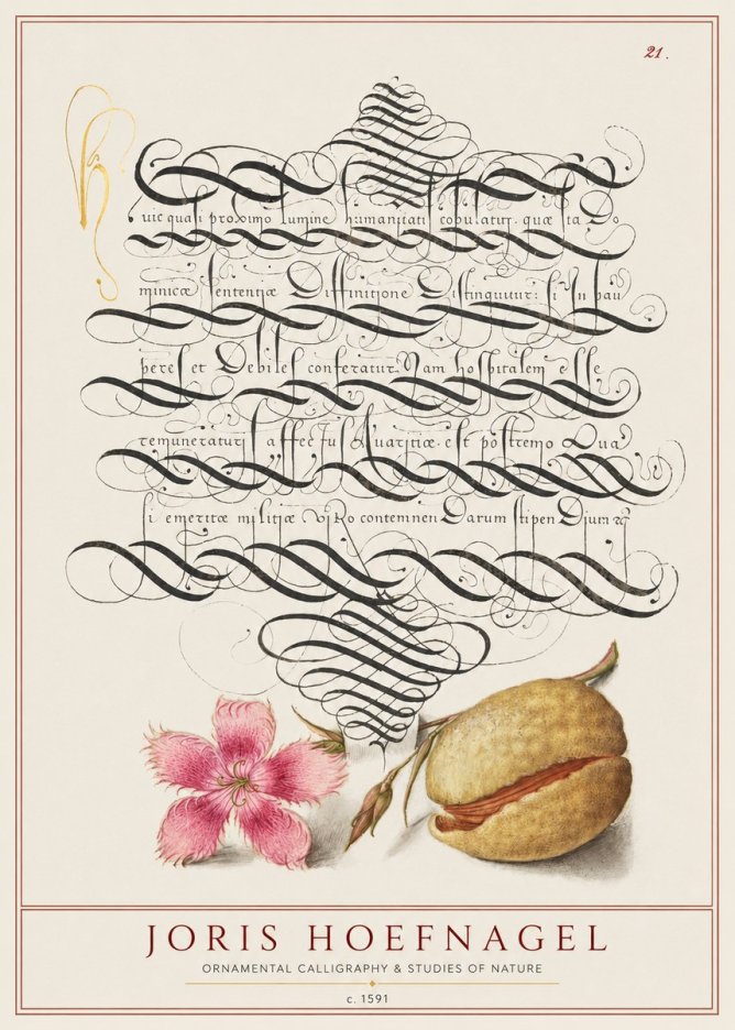 Joris Hoefnagel Ornamental Calligraphy & Studies of Nature No1 - Juliste