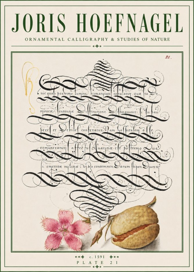 Joris Hoefnagel Ornamental Calligraphy & Studies of Nature No4 - Juliste