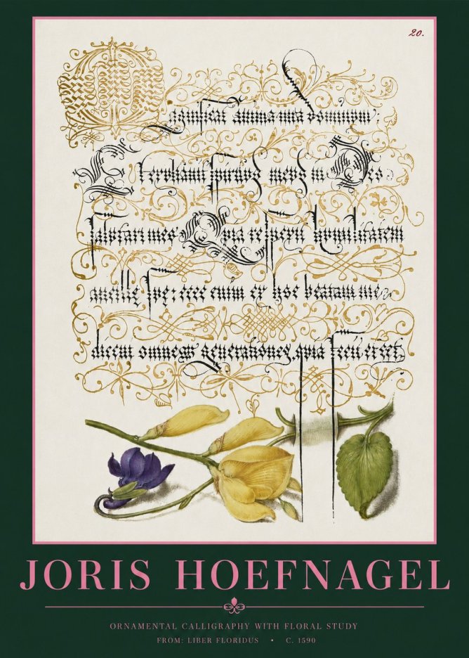 Joris Hoefnagel Ornamental Calligraphy with Floral Study No2 - Juliste