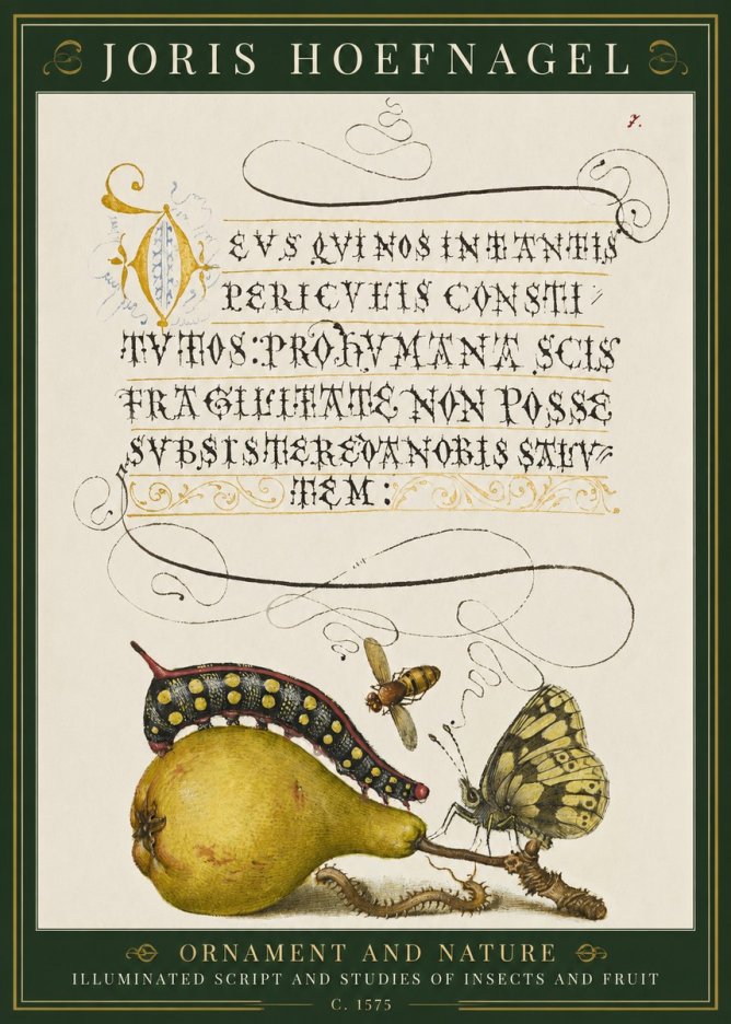 Joris Hoefnagel Ornament and Nature - Illuminated Script and Studies of Insects and Fruit No1 - Juliste