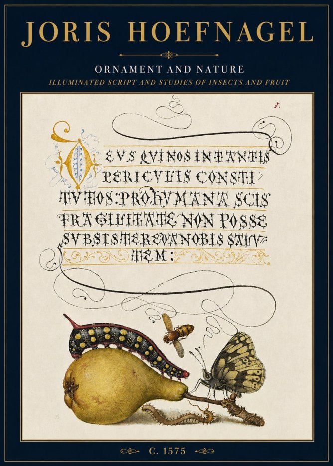 Joris Hoefnagel Ornament and Nature - Illuminated Script and Studies of Insects and Fruit No3 - Juliste
