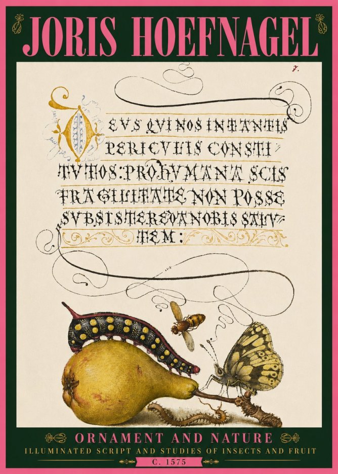 Joris Hoefnagel Ornament and Nature - Illuminated Script and Studies of Insects and Fruit No4 - Juliste