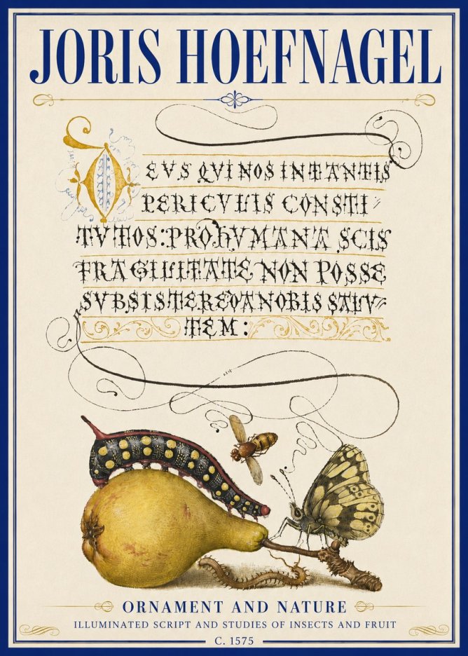 Joris Hoefnagel Ornament and Nature - Illuminated Script and Studies of Insects and Fruit No5 - Juliste