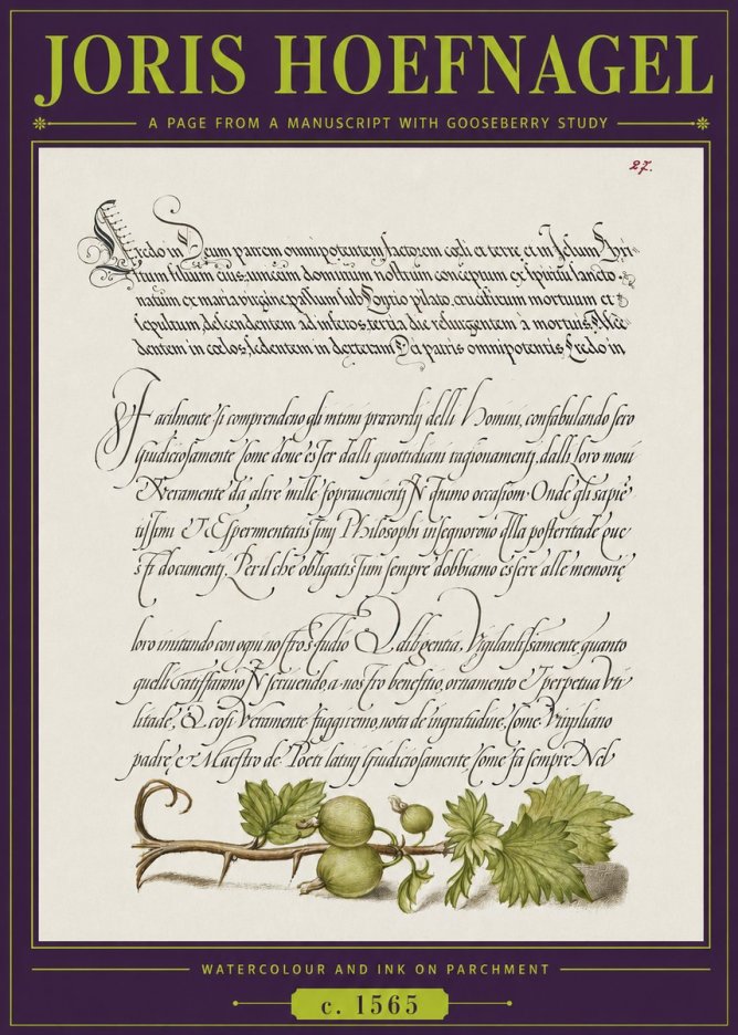 Joris Hoefnagel A Page from a Manuscript with Gooseberry Study No3 - Juliste