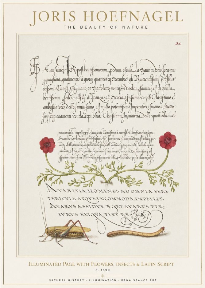 Joris Hoefnagel Illuminated Page with Flowers, Insects & Latin Script No1 - Juliste