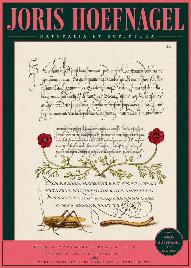 Joris Hoefnagel Illuminated Page with Flowers, Insects & Latin Script No3 - Juliste