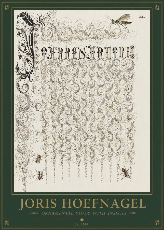 Joris Hoefnagel Ornamental Study with Insects No1 - Juliste