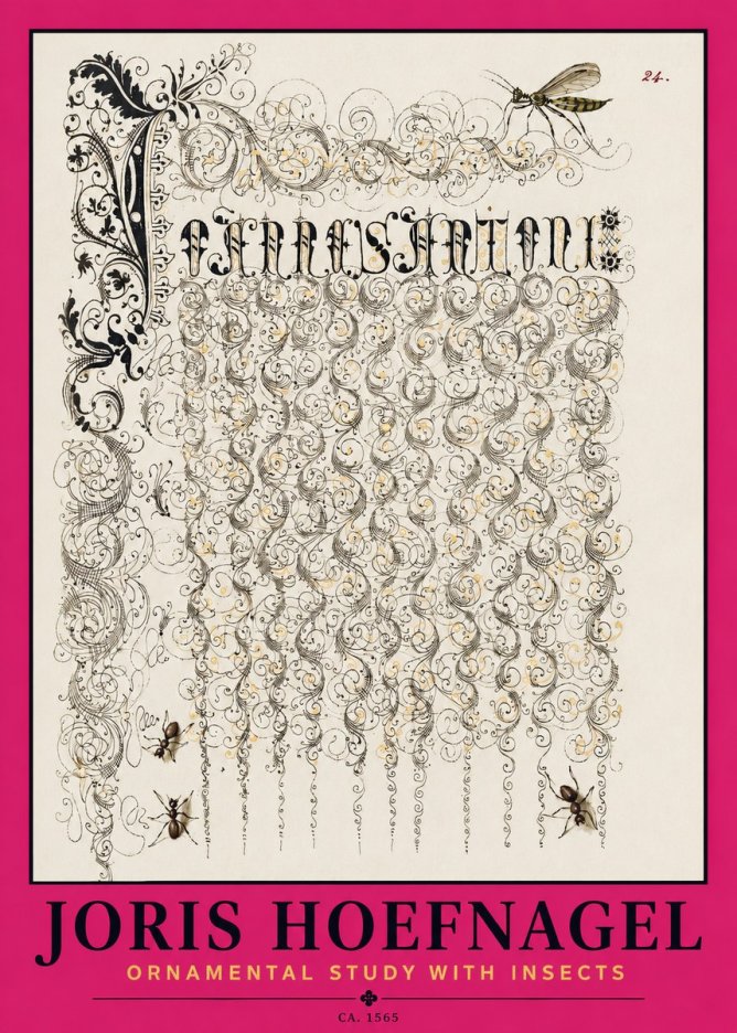 Joris Hoefnagel Ornamental Study with Insects No2 - Juliste