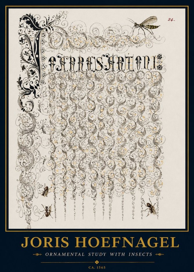 Joris Hoefnagel Ornamental Study with Insects No3 - Juliste