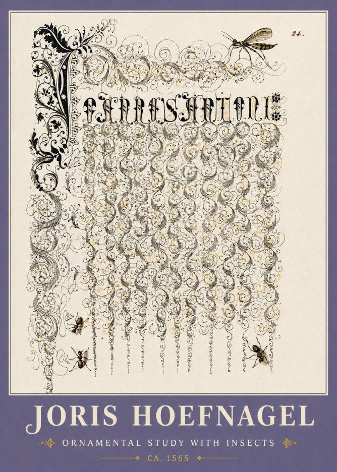 Joris Hoefnagel Ornamental Study with Insects No6 - Juliste