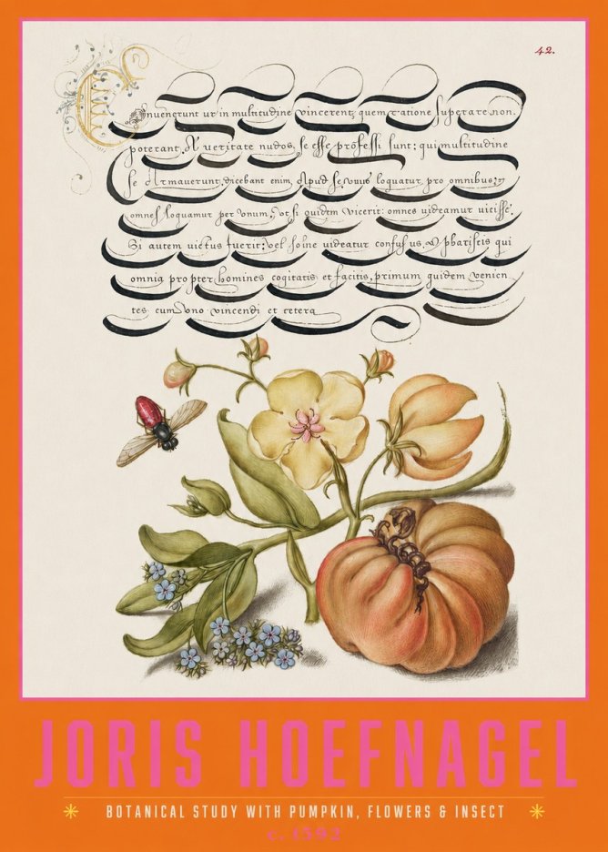 Joris Hoefnagel Botanical Study with Pumpkin, Flowers & Insect No2 - Juliste