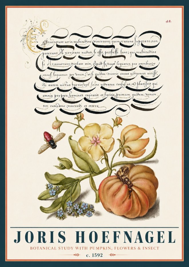 Joris Hoefnagel Botanical Study with Pumpkin, Flowers & Insect No5 - Juliste