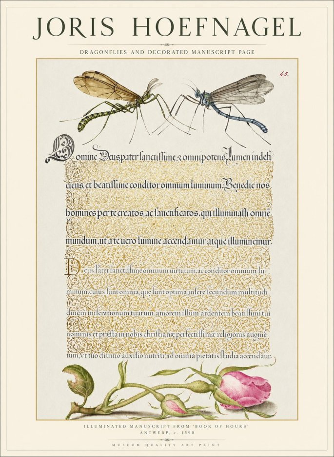 Joris Hoefnagel Dragonflies and Decorated Manuscript Page No1 - Juliste