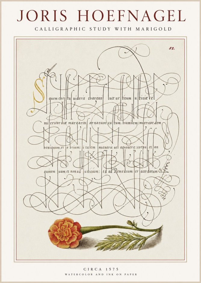Joris Hoefnagel Calligraphic Study with Marigold No1 - Juliste