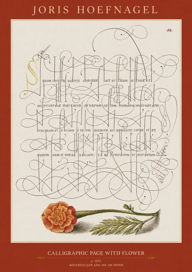 Joris Hoefnagel Calligraphic Study with Marigold No2 - Juliste
