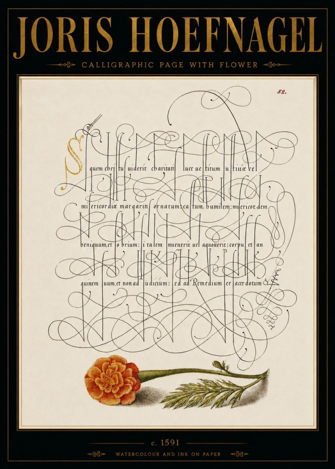 Joris Hoefnagel Calligraphic Study with Marigold No6 - Juliste