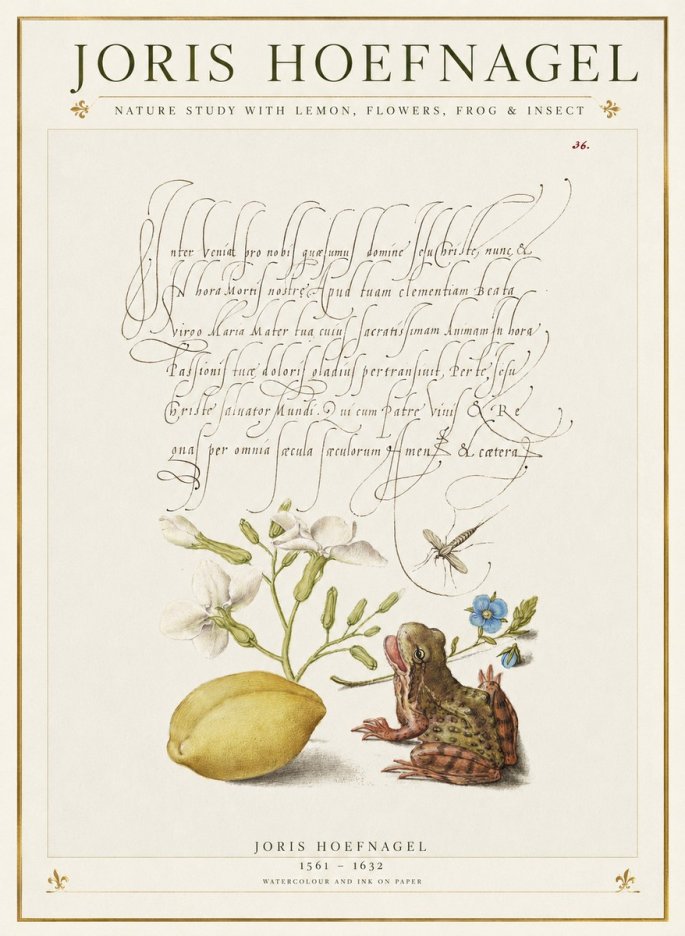 Joris Hoefnagel Nature Study with Lemon, Flowers, Frog & Insect No1 - Juliste