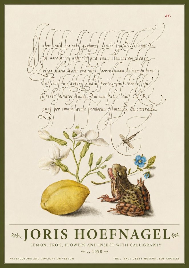 Joris Hoefnagel Nature Study with Lemon, Flowers, Frog & Insect No4 - Juliste