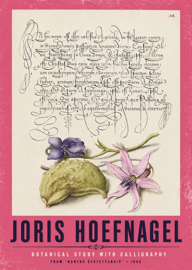Joris Hoefnagel Botanical Study with Calligraphy I No2 - Juliste