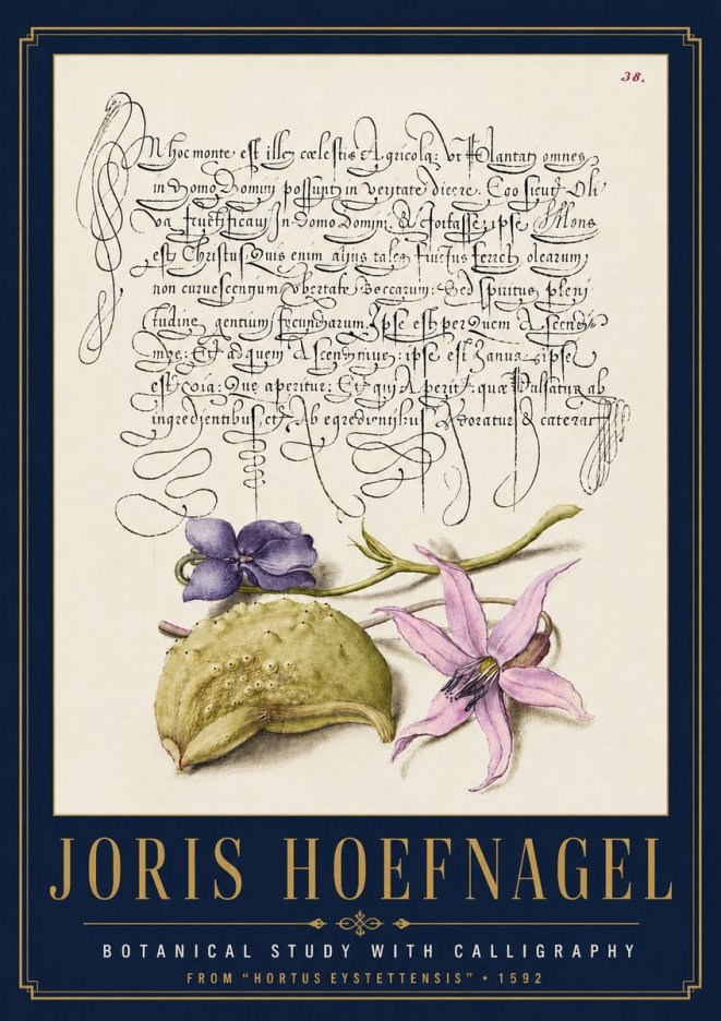 Joris Hoefnagel Botanical Study with Calligraphy I No4 - Juliste