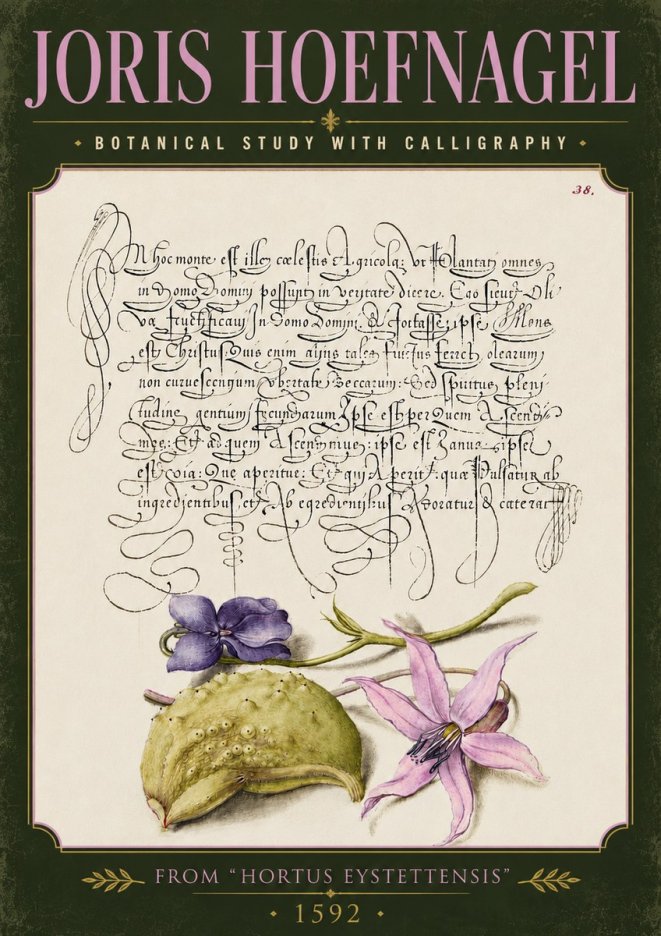 Joris Hoefnagel Botanical Study with Calligraphy I No5 - Juliste