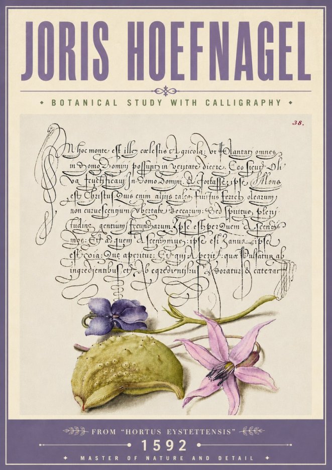 Joris Hoefnagel Botanical Study with Calligraphy I No6 - Juliste