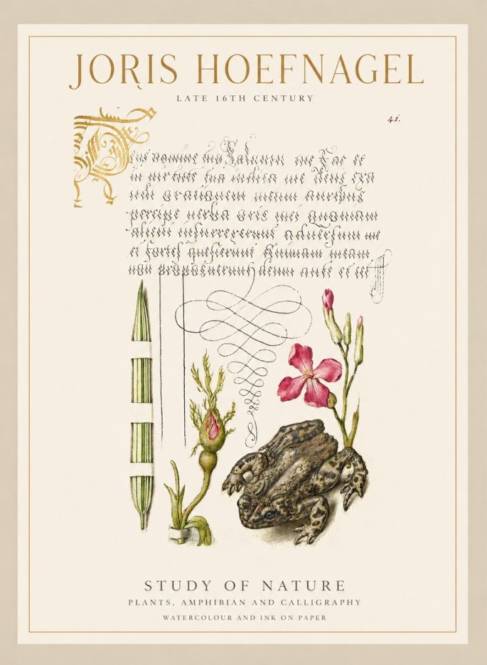 Joris Hoefnagel Study of Nature I No1 - Juliste