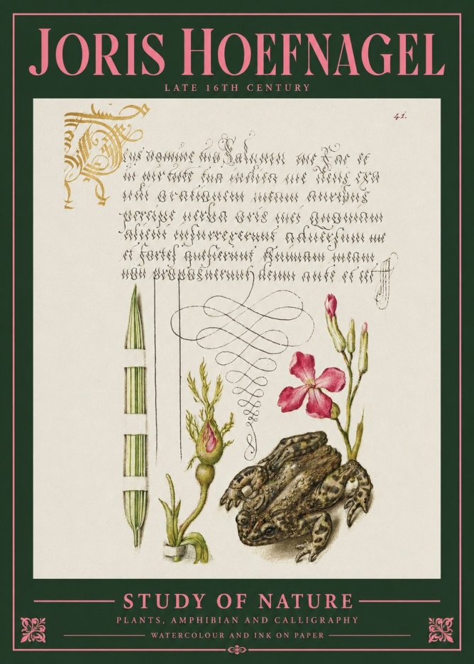 Joris Hoefnagel Study of Nature I No2 - Juliste