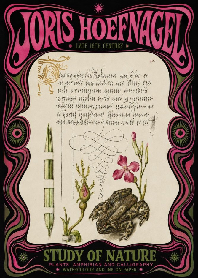 Joris Hoefnagel Study of Nature I No3 - Juliste